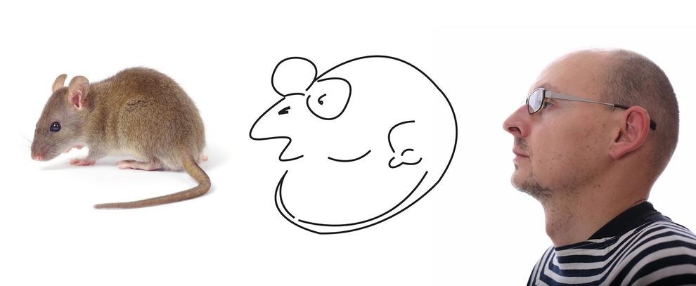 top down processing explained